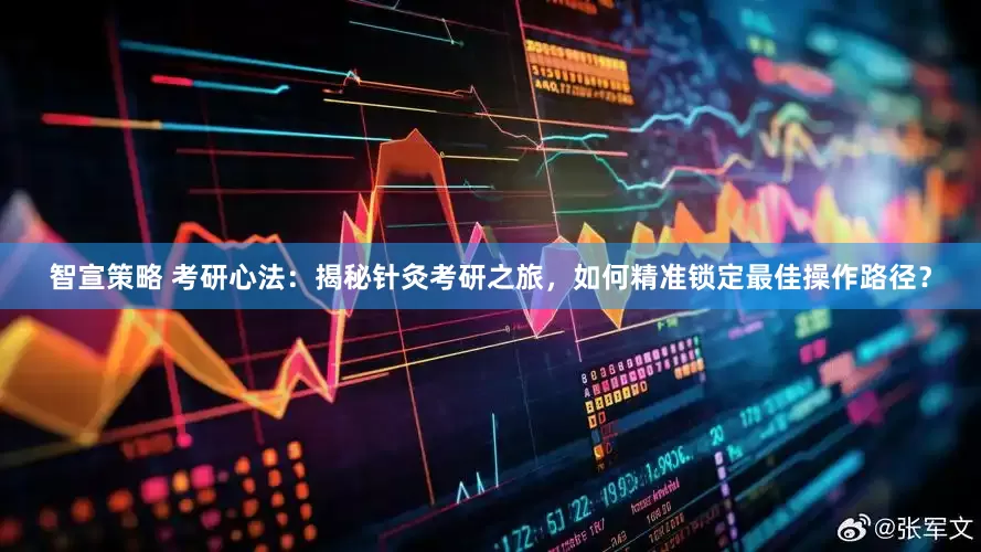 智宣策略 考研心法：揭秘针灸考研之旅，如何精准锁定最佳操作路径？