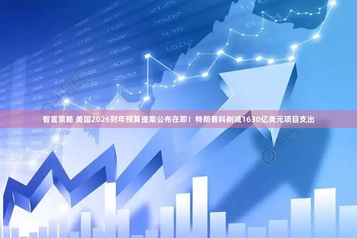 智宣策略 美国2026财年预算提案公布在即！特朗普料削减1630亿美元项目支出