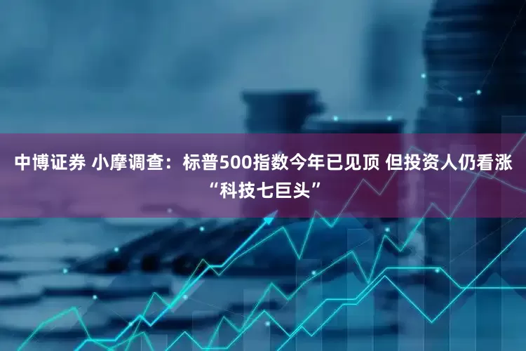 中博证券 小摩调查：标普500指数今年已见顶 但投资人仍看涨“科技七巨头”